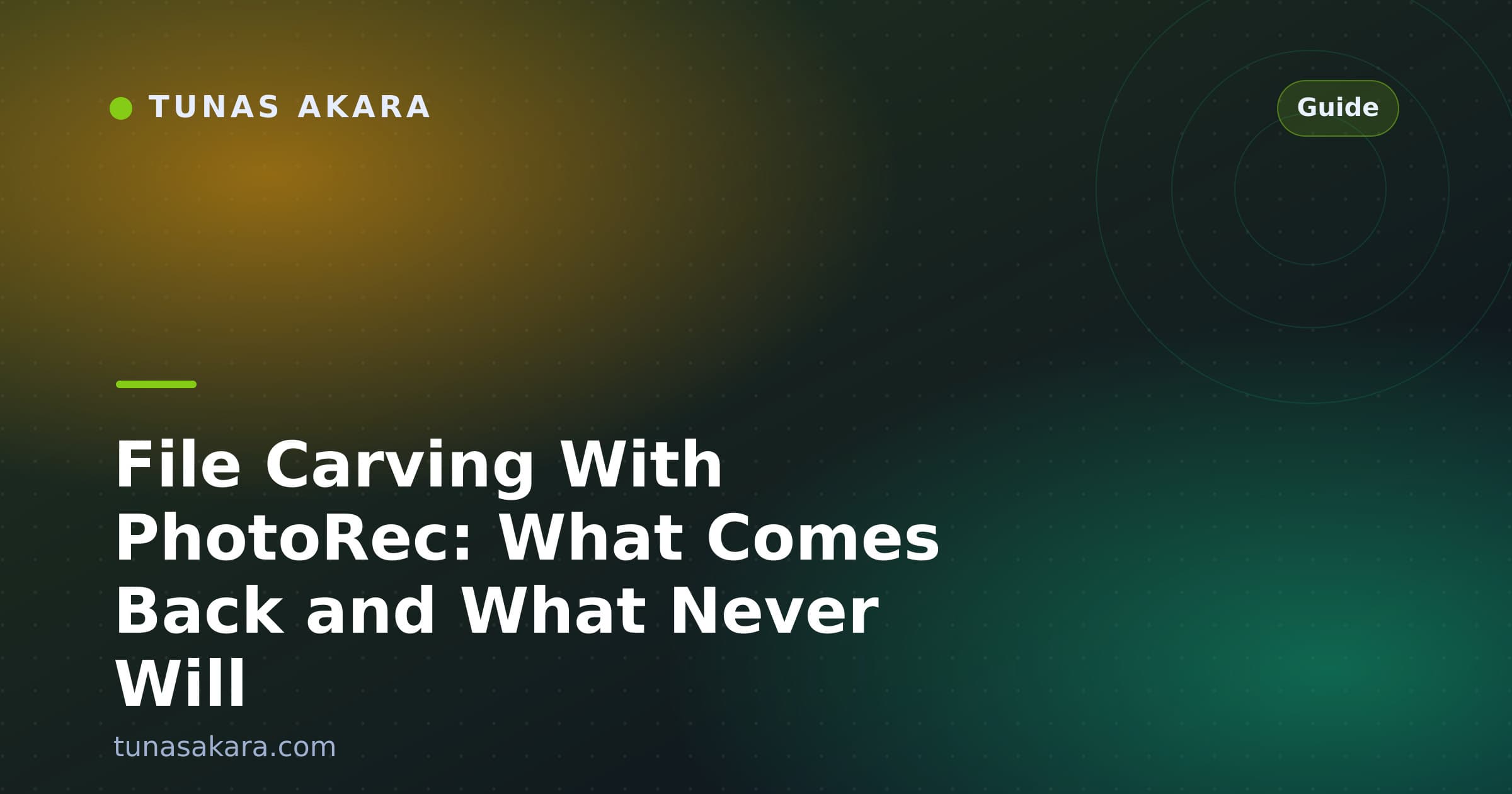 File Carving With PhotoRec: What Comes Back and What Never Will