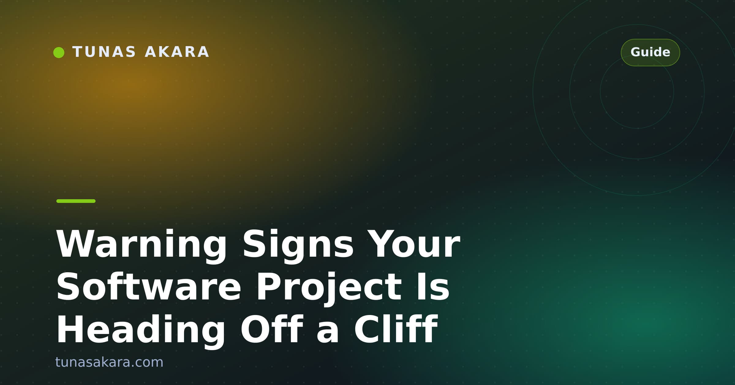 Warning Signs Your Software Project Is Heading Off a Cliff