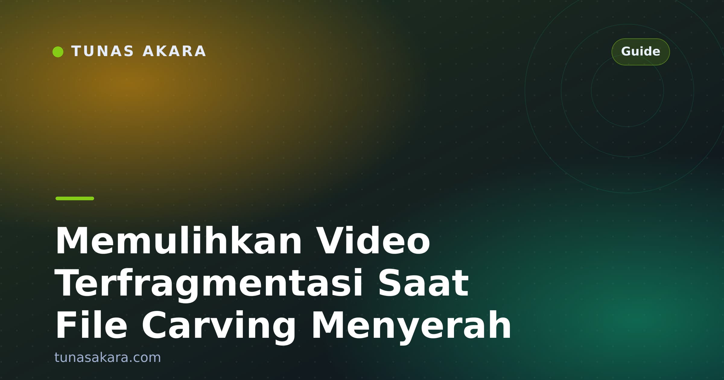Memulihkan Video Terfragmentasi Saat File Carving Menyerah