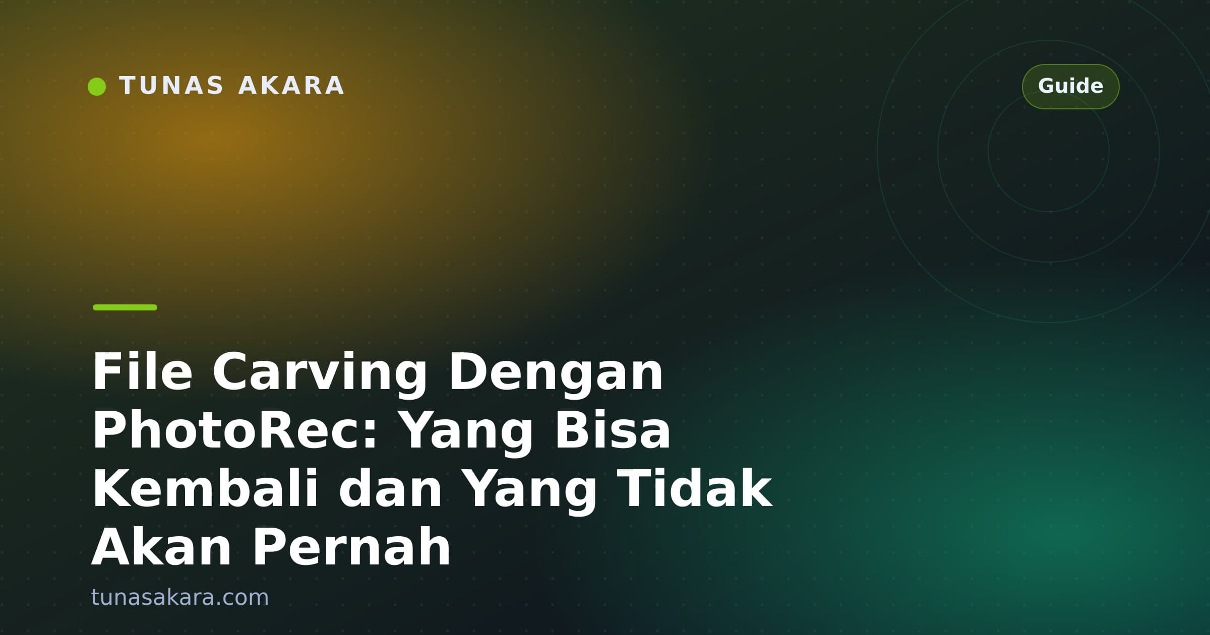 File Carving Dengan PhotoRec: Yang Bisa Kembali dan Yang Tidak Akan Pernah